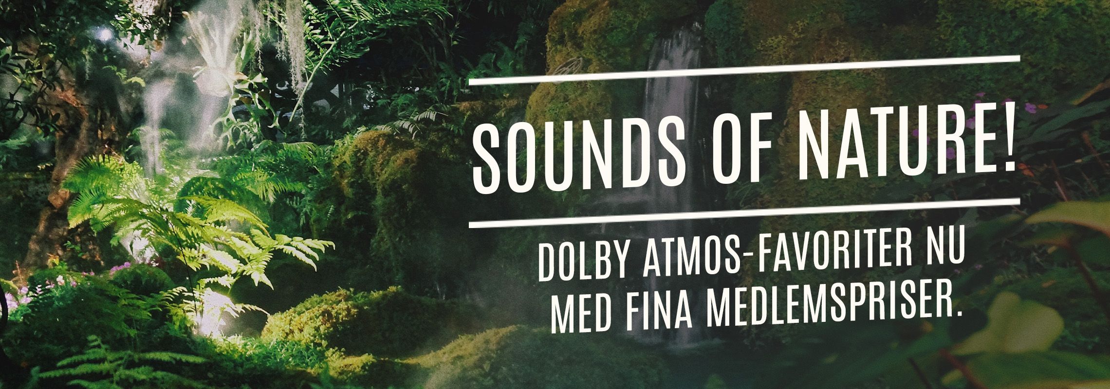 Allt du behöver för att komma igång med Dolby Atmos